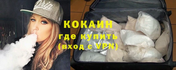 мдпв Бородино