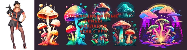 мдпв Бородино