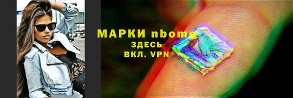 мдпв Бородино