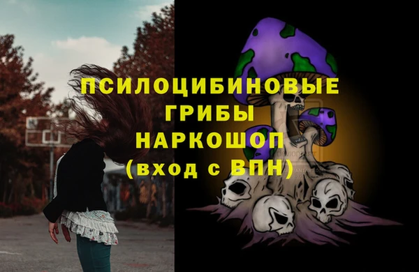 Альфа ПВП Бронницы