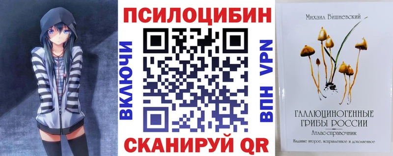 дарнет шоп  Макаров  Псилоцибиновые грибы Psilocybe 